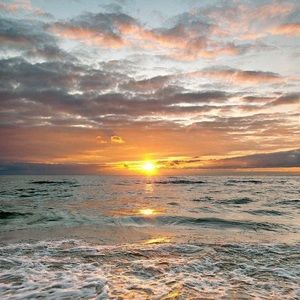 Meet your Posher, Sophie